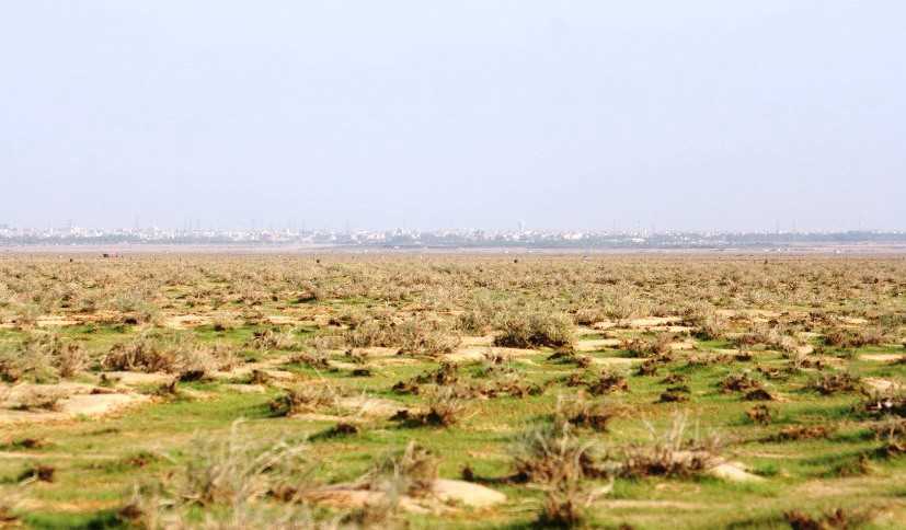 “التجارة” تطرح أرض الرس ” الجنبة” للبيع المباشر  