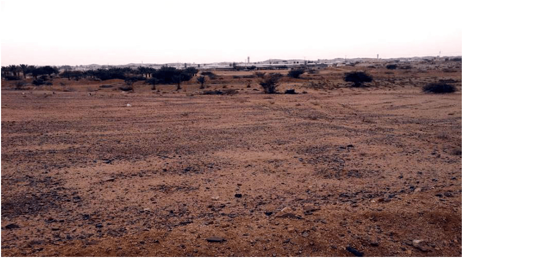 وزارة العدل  تضع حدا ً نهائياً لمعاناة  1500مساهم في مساهمات المقبل