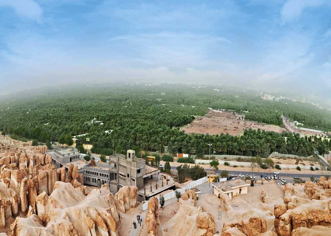 وزارة المالية: حجم إيرادات إيجارات أراض ومزارع تابعة لأملاك الدولة في الأحساء بأكثر من 13 مليون ريال