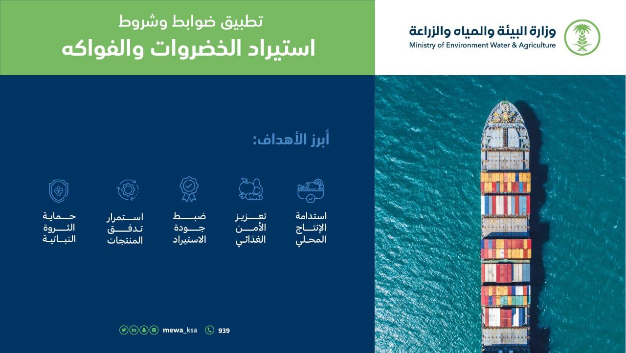 اعتبارا من 9 أغسطس.. “البيئة” تطلق آلية جديدة لتطبيق ضوابط وشروط استيراد الخضروات والفواكه