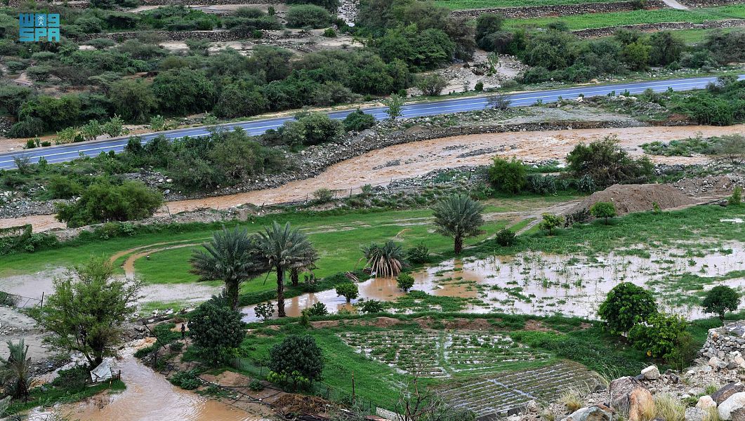 كيف غيرت مبادرة السعودية الخضراء وجه سوق العقار في المملكة؟