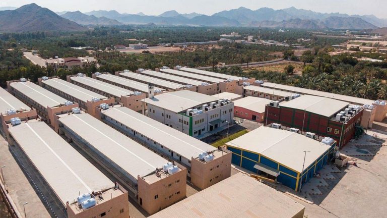 السكن الجماعي للأفراد