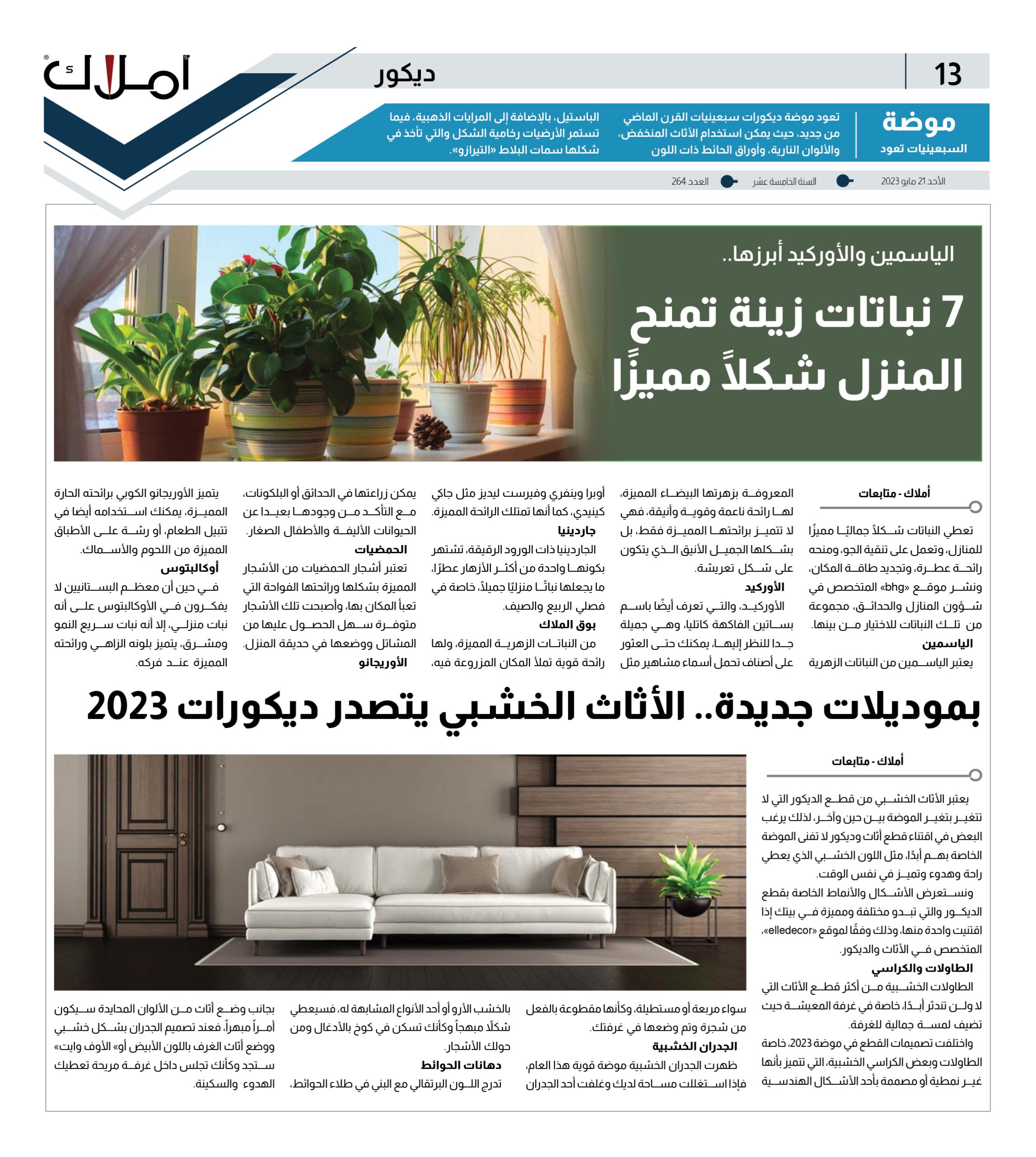 ديكور.. الياسمين والأوركيد أبرزها..7 نباتات زينة تمنح المنزل شكلًا مميزًا