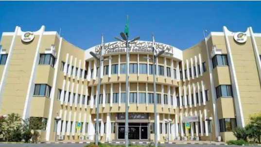 ملتقى الجهات الممولة والداعمة للمشروعات بنجران ينمي ثقافة رائدات الأعمال